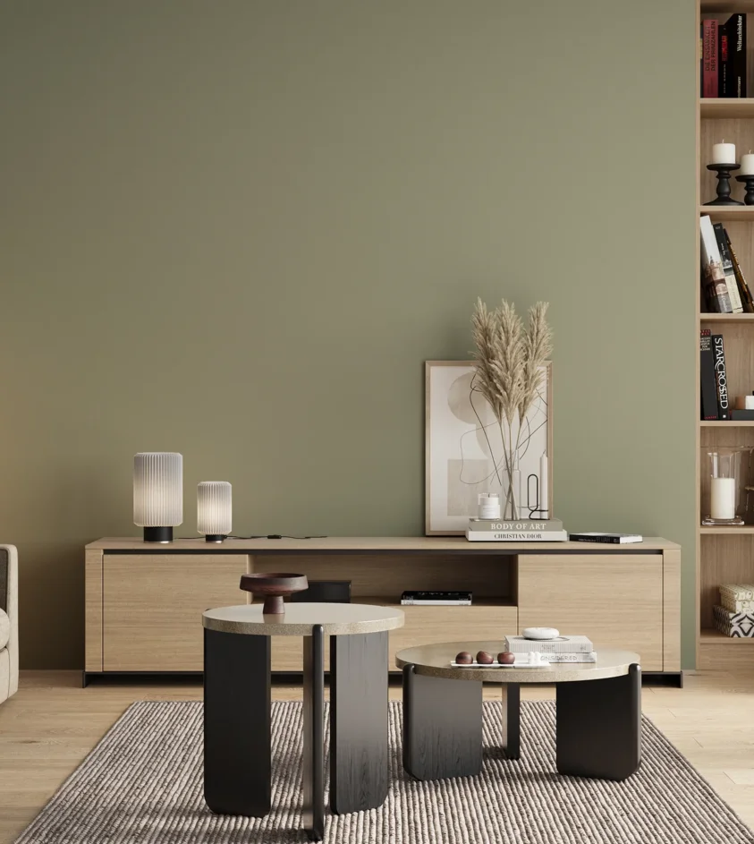 P10_SNIEZKA_salon_00_neutral_GREY_S3010-G50Y