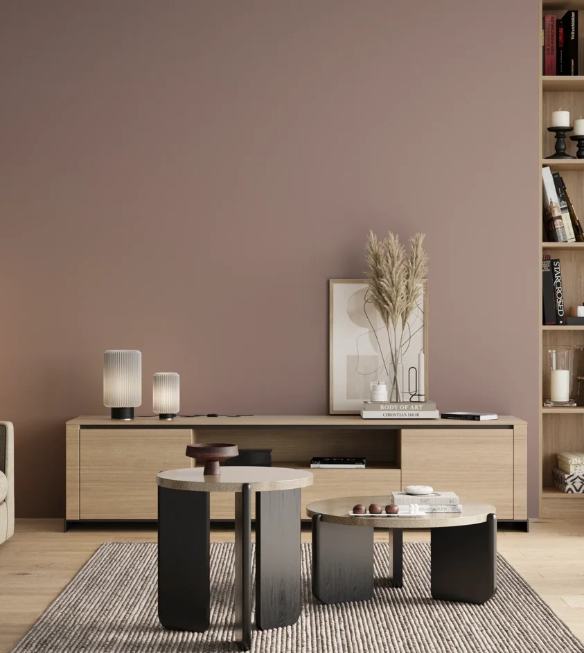 P10_SNIEZKA_salon_00_neutral_GREY_S3010-R