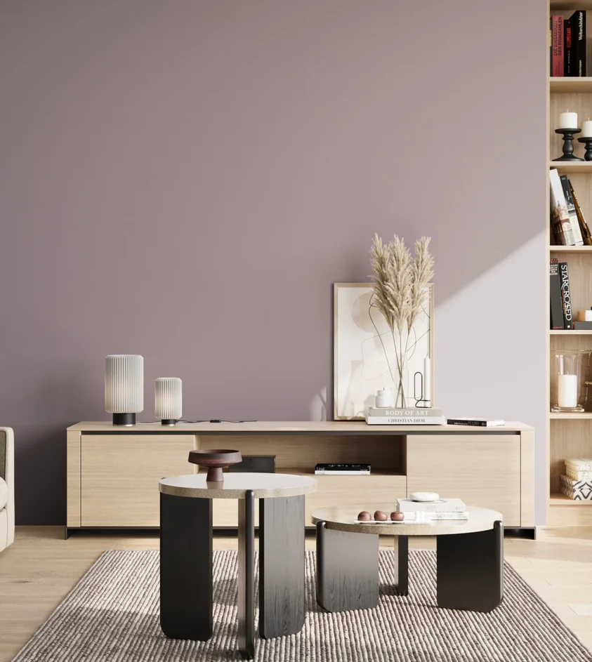 P10_SNIEZKA_salon_02_poludnie_GREY_S3010-R40B