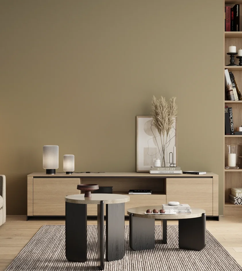 P10_SNIEZKA_salon_00_neutral_GREY_S3010-Y