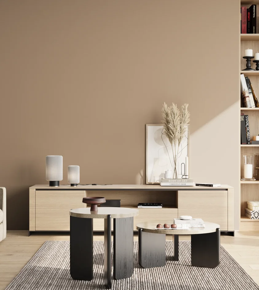 P10_SNIEZKA_salon_02_poludnie_GREY_S3010-Y40R
