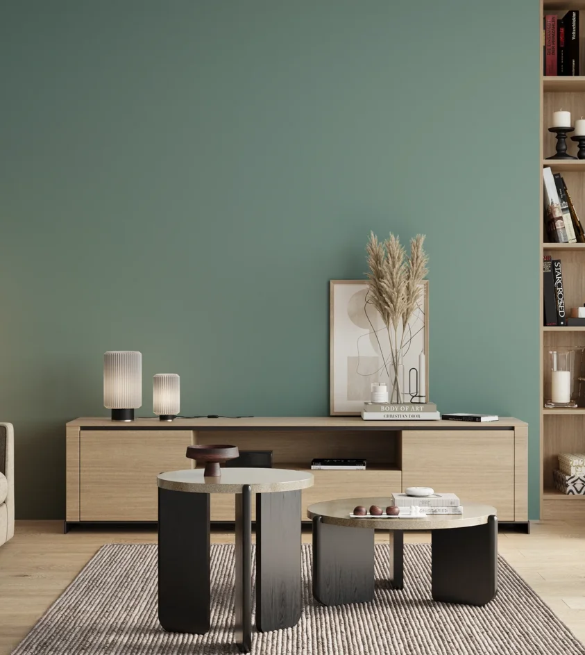 P10_SNIEZKA_salon_00_neutral_GREY_S3020-B60G