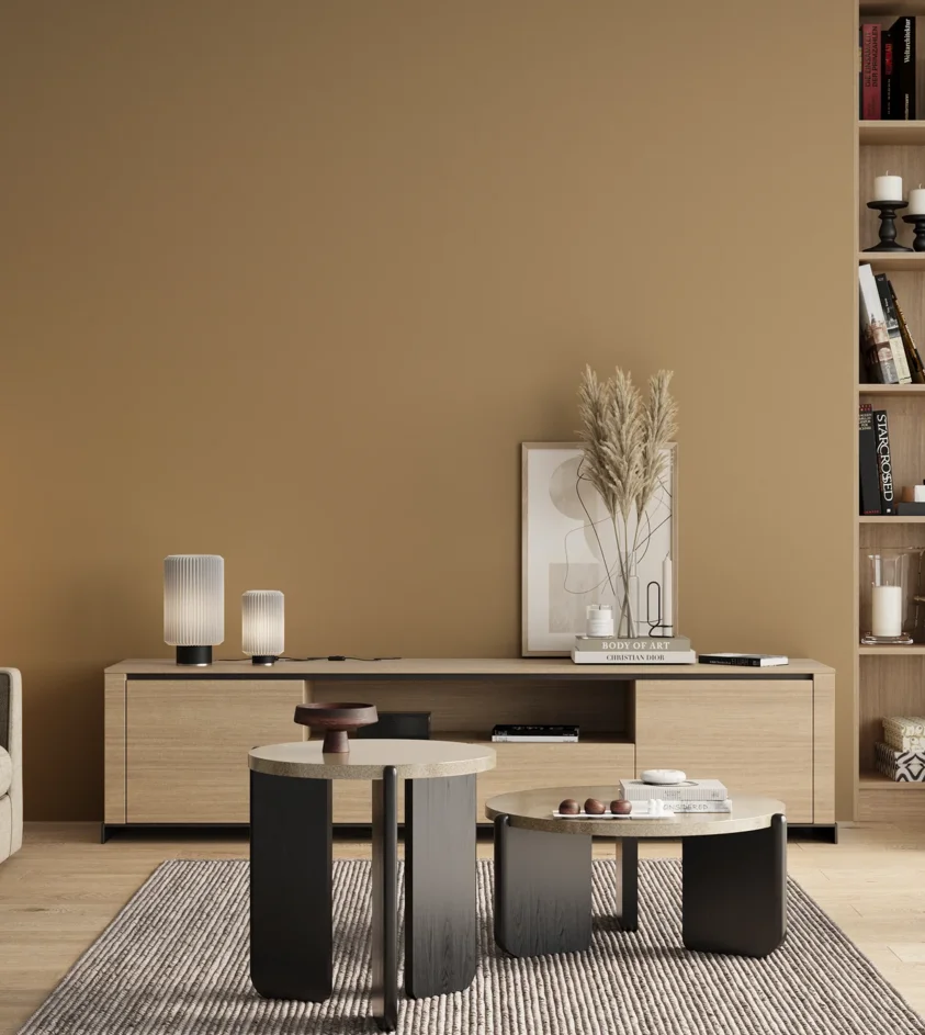 P10_SNIEZKA_salon_00_neutral_GREY_S3020-Y20R
