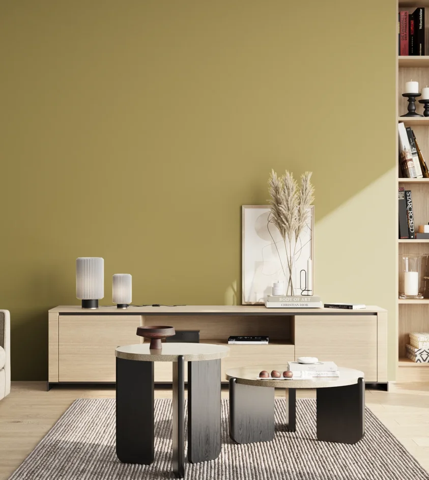 P10_SNIEZKA_salon_02_poludnie_GREY_S3030-G90Y