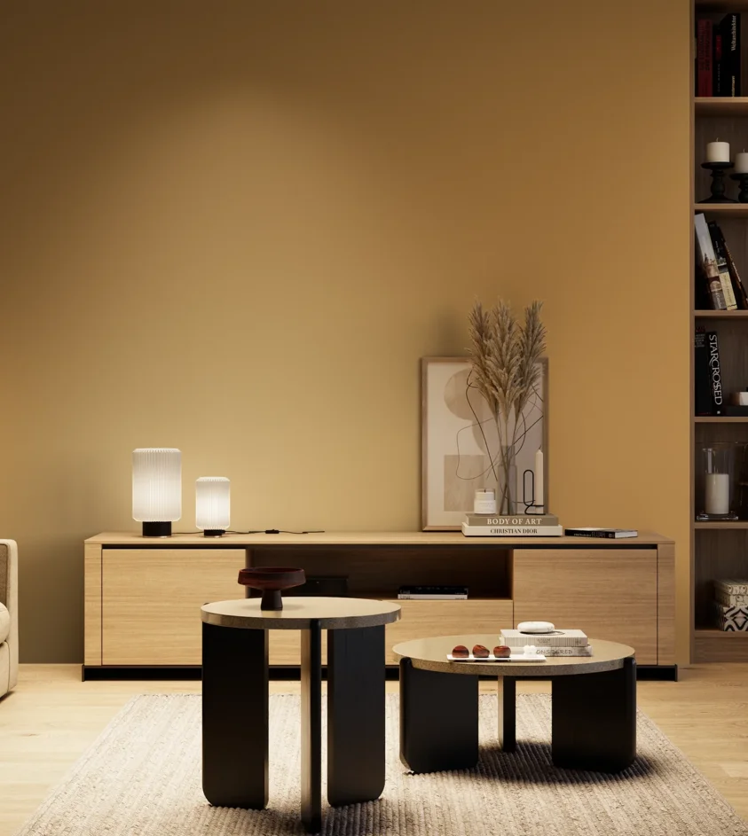 P10_SNIEZKA_salon_04_cieple_GREY_S3040-Y20R