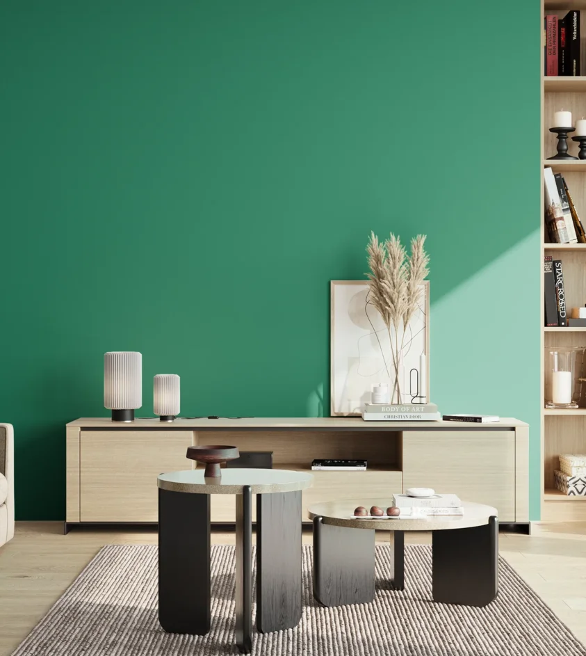 P10_SNIEZKA_salon_02_poludnie_GREY_S3050-B90G