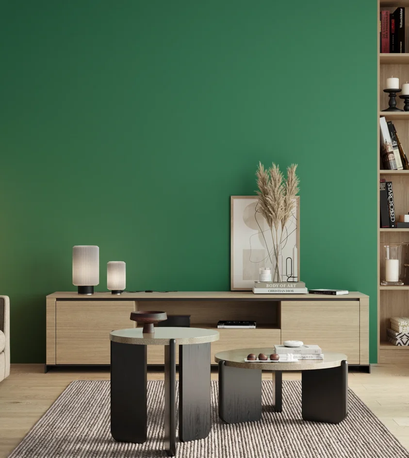 P10_SNIEZKA_salon_00_neutral_GREY_S3050-G