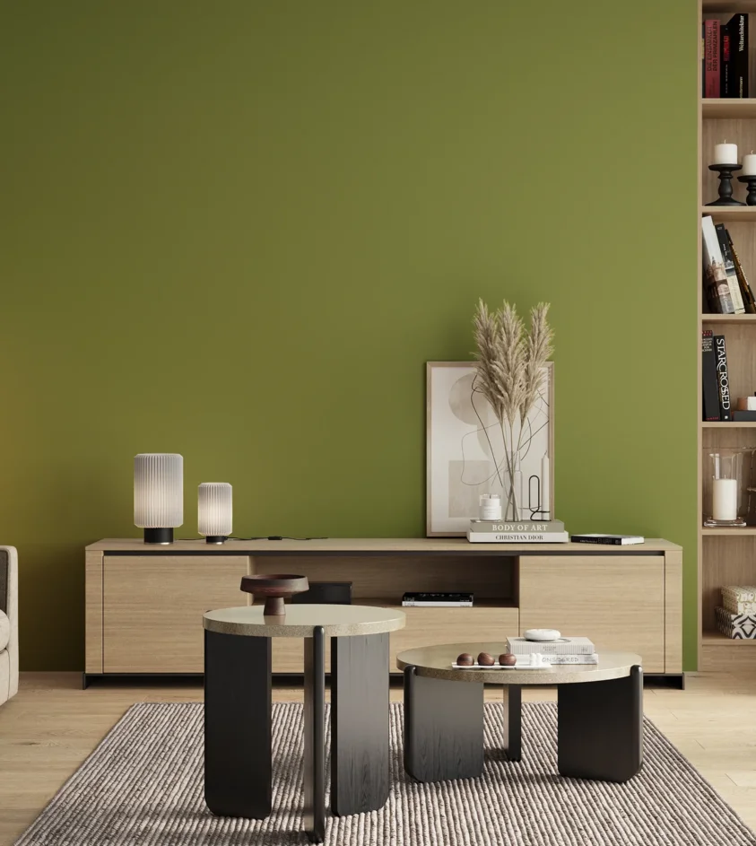 P10_SNIEZKA_salon_00_neutral_GREY_S3050-G50Y