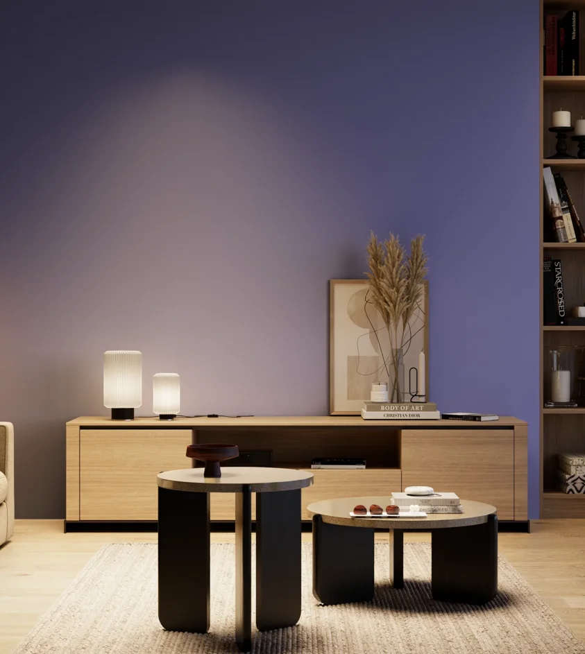 P10_SNIEZKA_salon_04_cieple_GREY_S3050-R70B