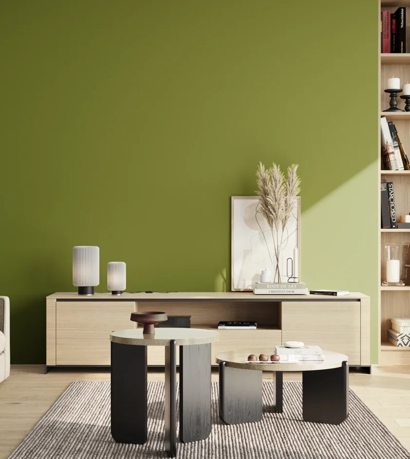 P10_SNIEZKA_salon_02_poludnie_GREY_S3065-G50Y