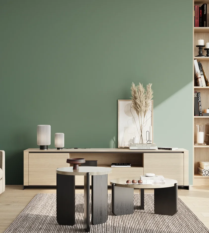 P10_SNIEZKA_salon_02_poludnie_GREY_S4020-G