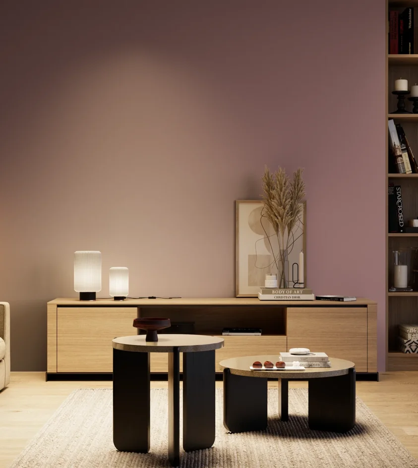 P10_SNIEZKA_salon_04_cieple_GREY_S4020-R20B