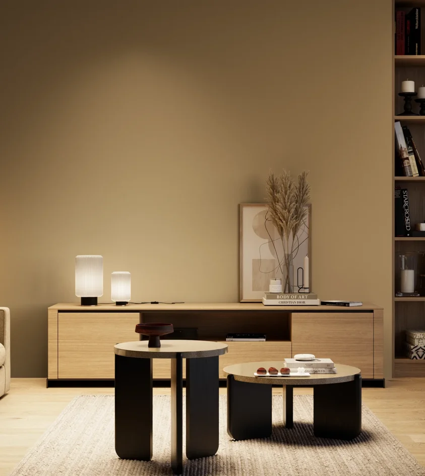 P10_SNIEZKA_salon_04_cieple_GREY_S4020-Y20R