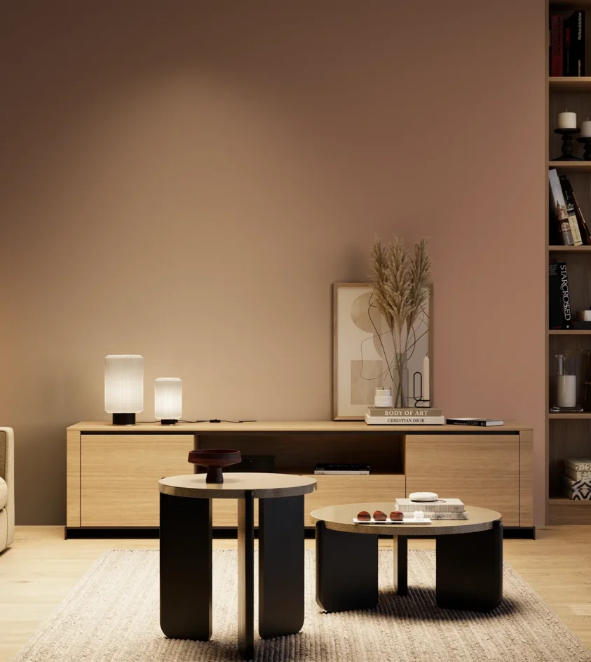 P10_SNIEZKA_salon_04_cieple_GREY_S4020-Y70R