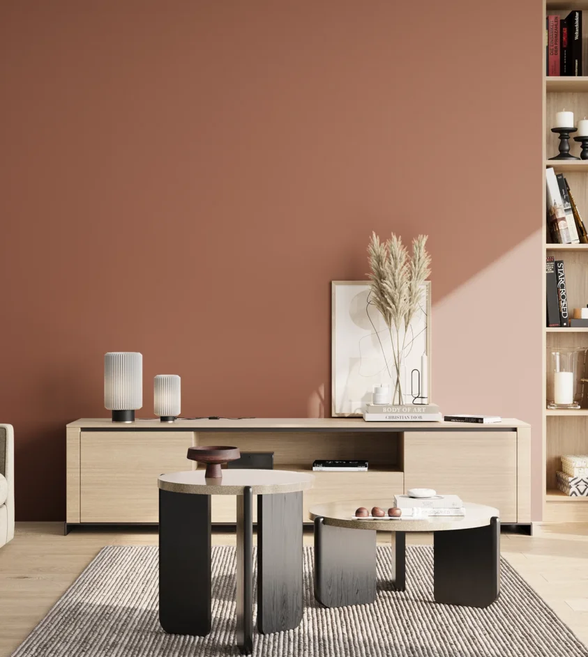 P10_SNIEZKA_salon_02_poludnie_GREY_S4030-Y70R