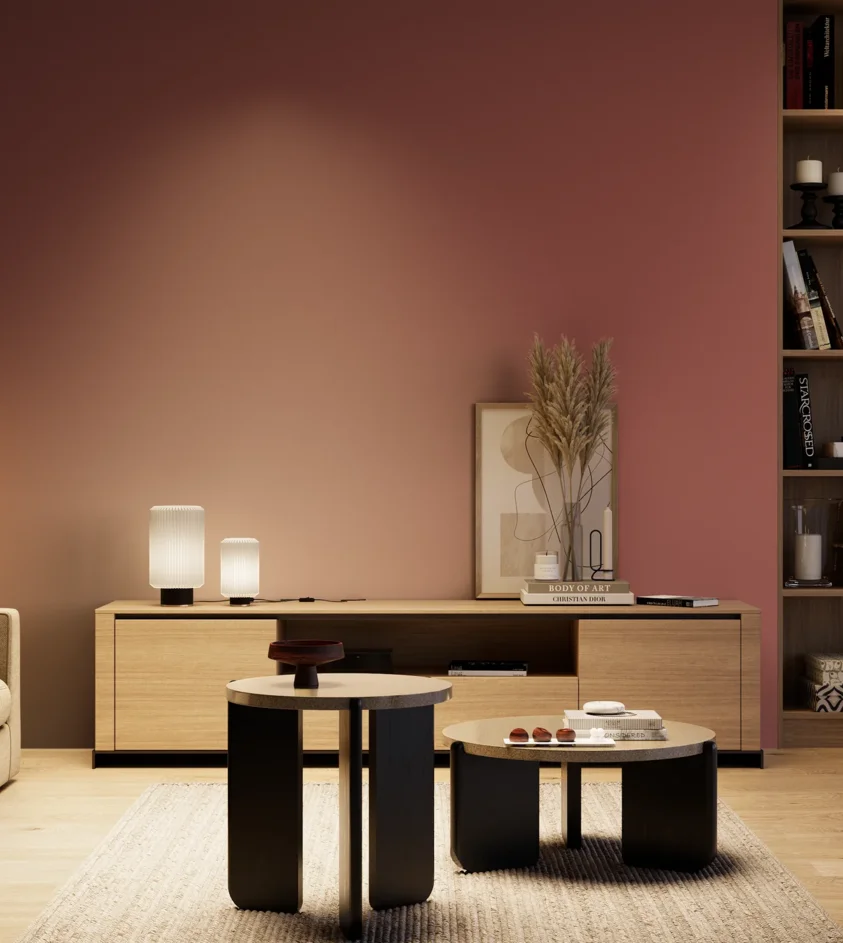 P10_SNIEZKA_salon_04_cieple_GREY_S4040-R