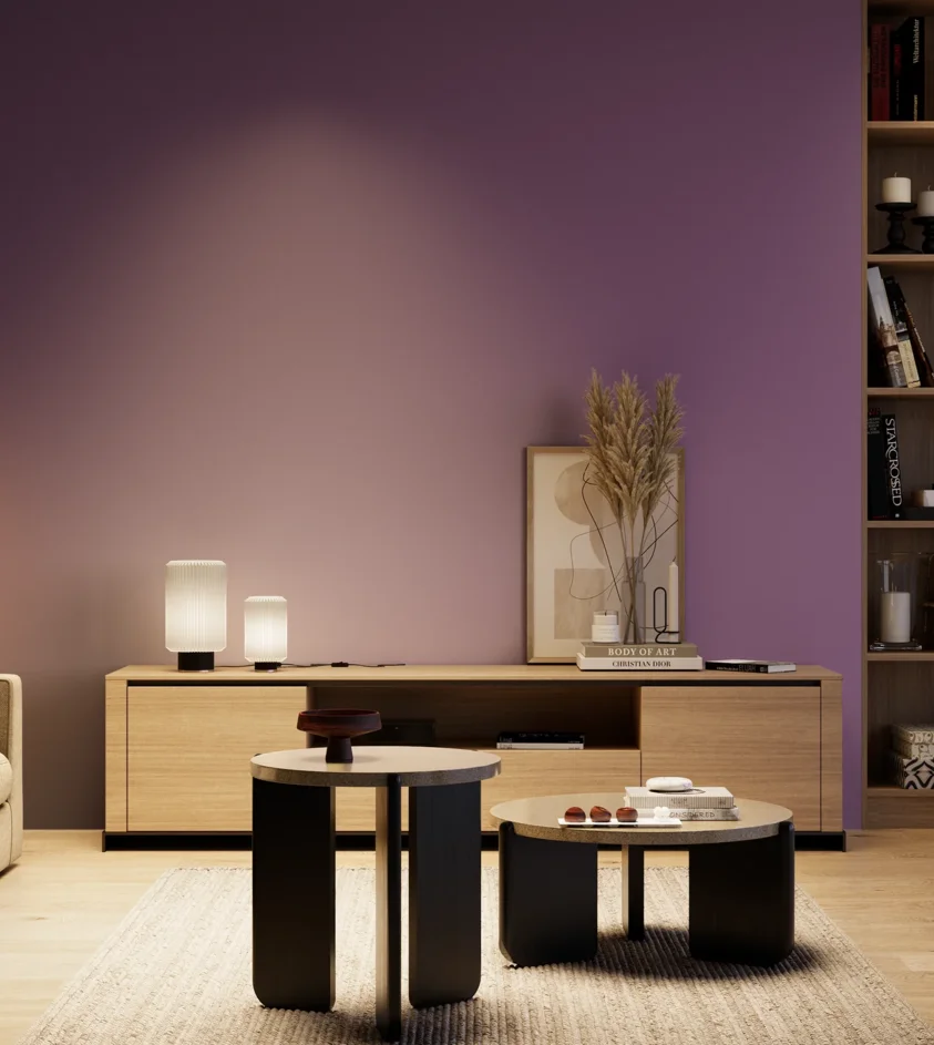 P10_SNIEZKA_salon_04_cieple_GREY_S4040-R50B