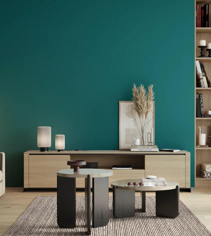 P10_SNIEZKA_salon_00_neutral_GREY_S4050-B30G
