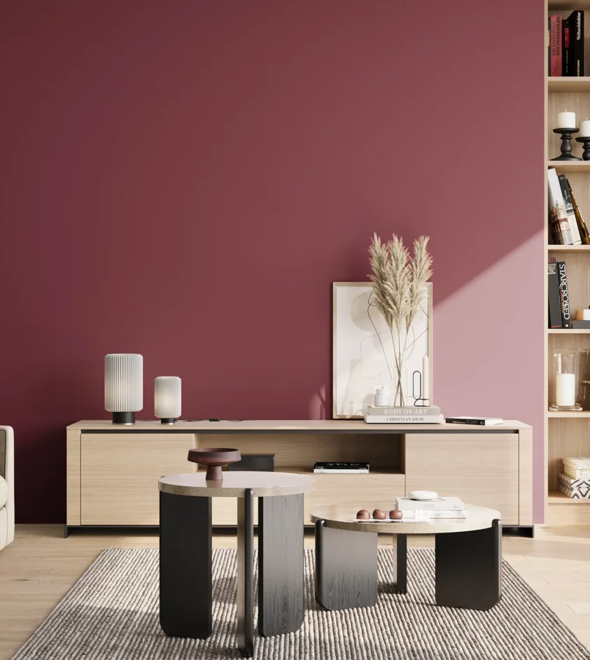 P10_SNIEZKA_salon_02_poludnie_GREY_S4050-R20B