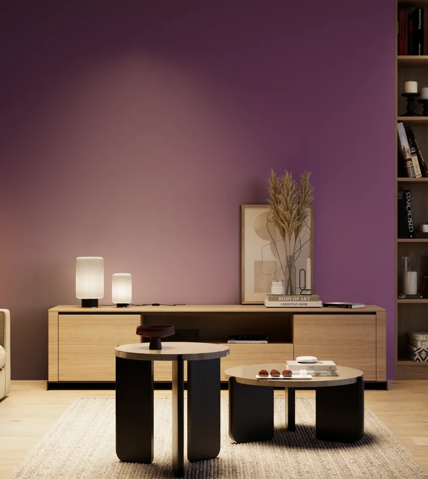 P10_SNIEZKA_salon_04_cieple_GREY_S4050-R50B