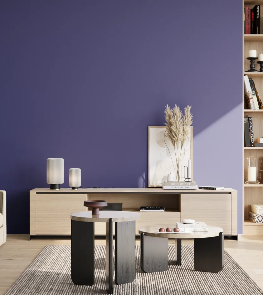 P10_SNIEZKA_salon_02_poludnie_GREY_S4050-R70B