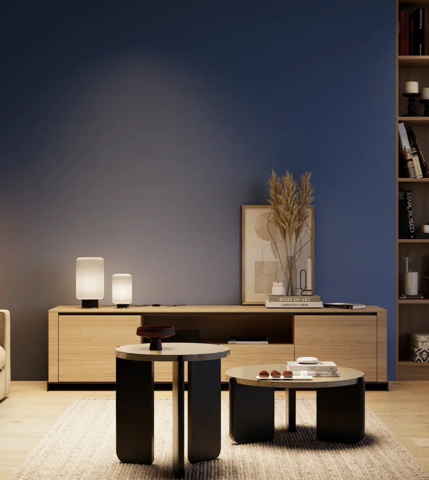 P10_SNIEZKA_salon_04_cieple_GREY_S4550-R80B