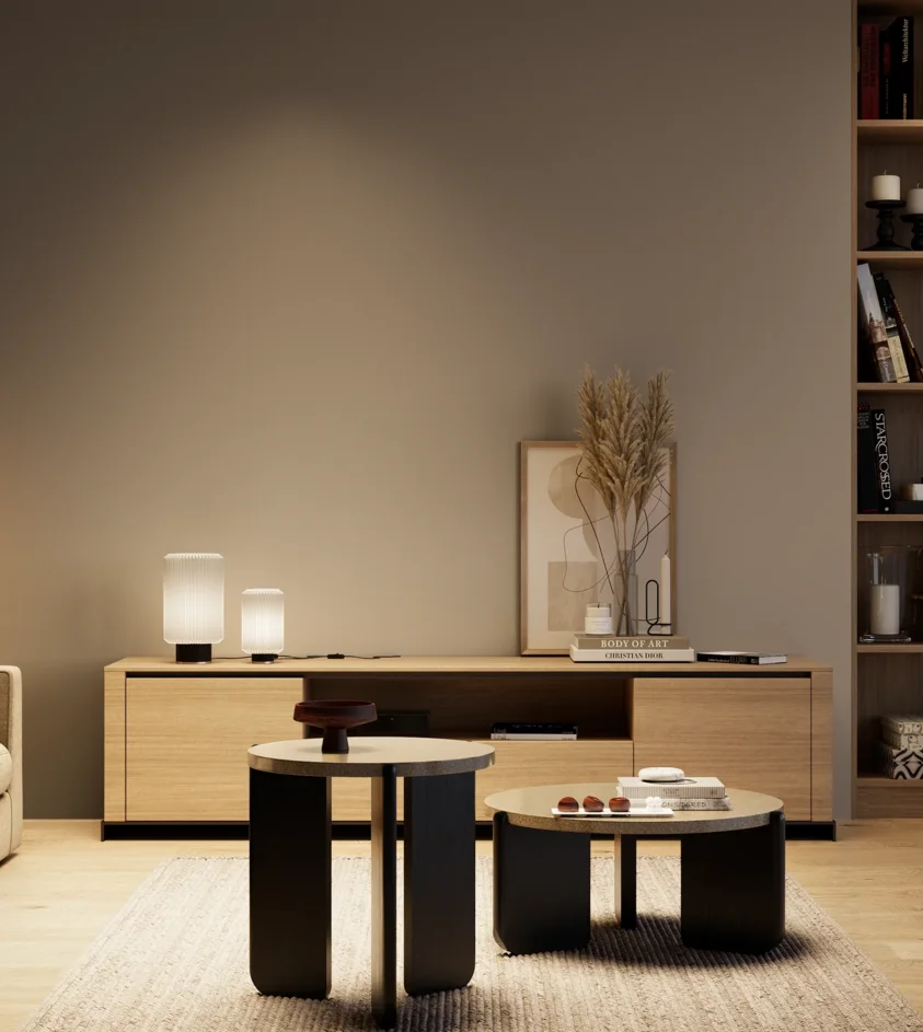 P10_SNIEZKA_salon_04_cieple_GREY_S5005-Y50R