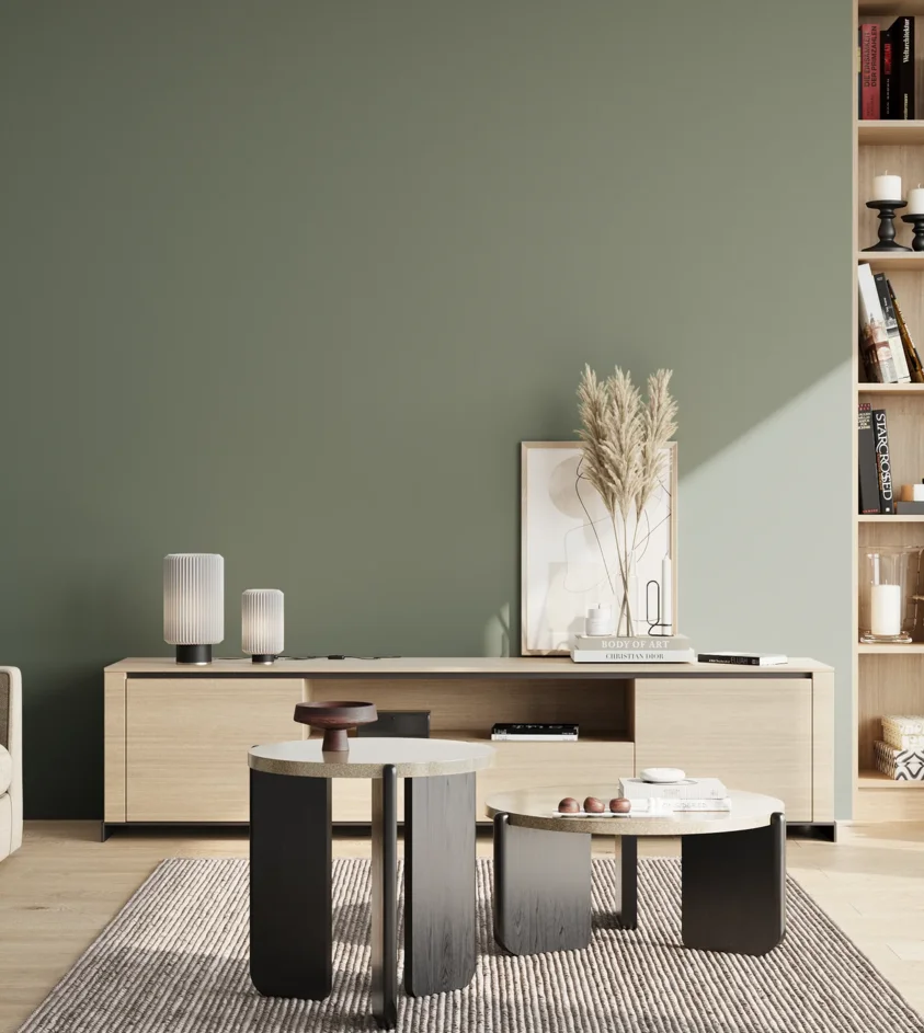 P10_SNIEZKA_salon_02_poludnie_GREY_S5010-G10Y