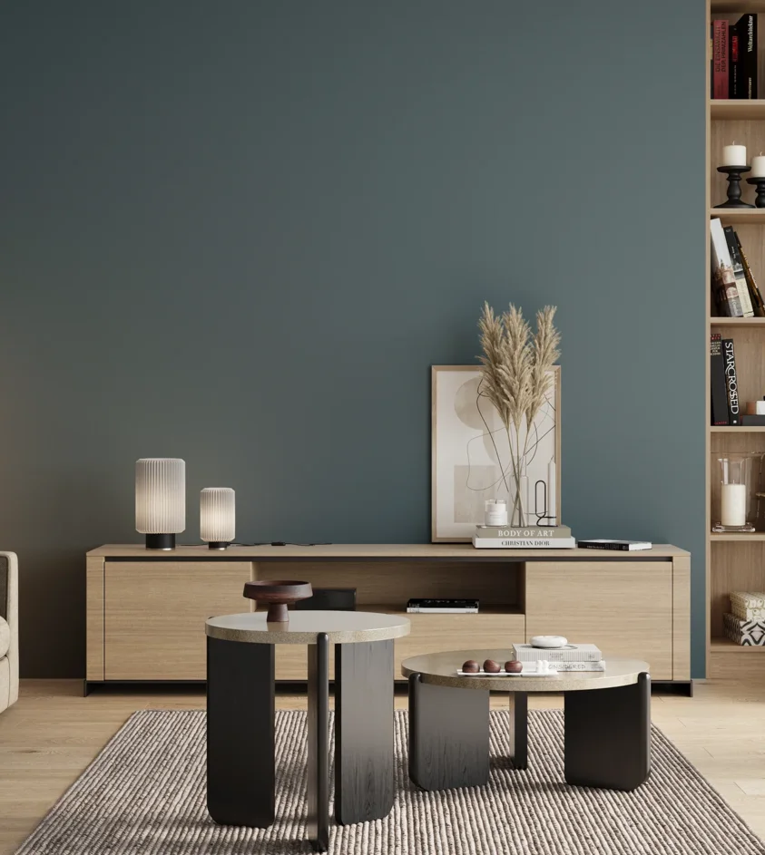 P10_SNIEZKA_salon_00_neutral_GREY_S5020-B10G