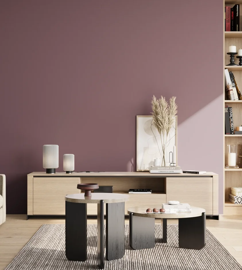 P10_SNIEZKA_salon_02_poludnie_GREY_S5020-R30B