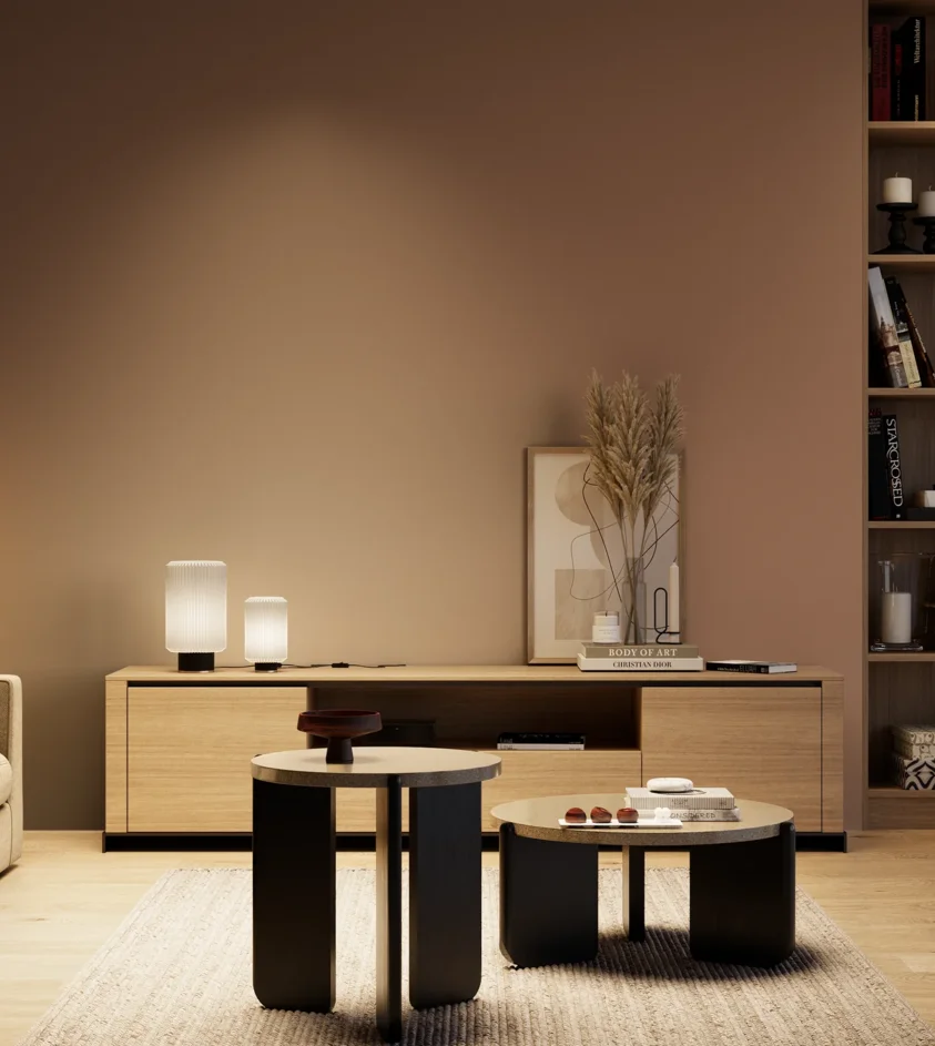 P10_SNIEZKA_salon_04_cieple_GREY_S5020-Y60R