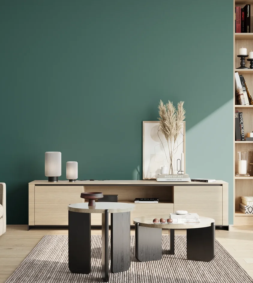 P10_SNIEZKA_salon_02_poludnie_GREY_S5030-B50G