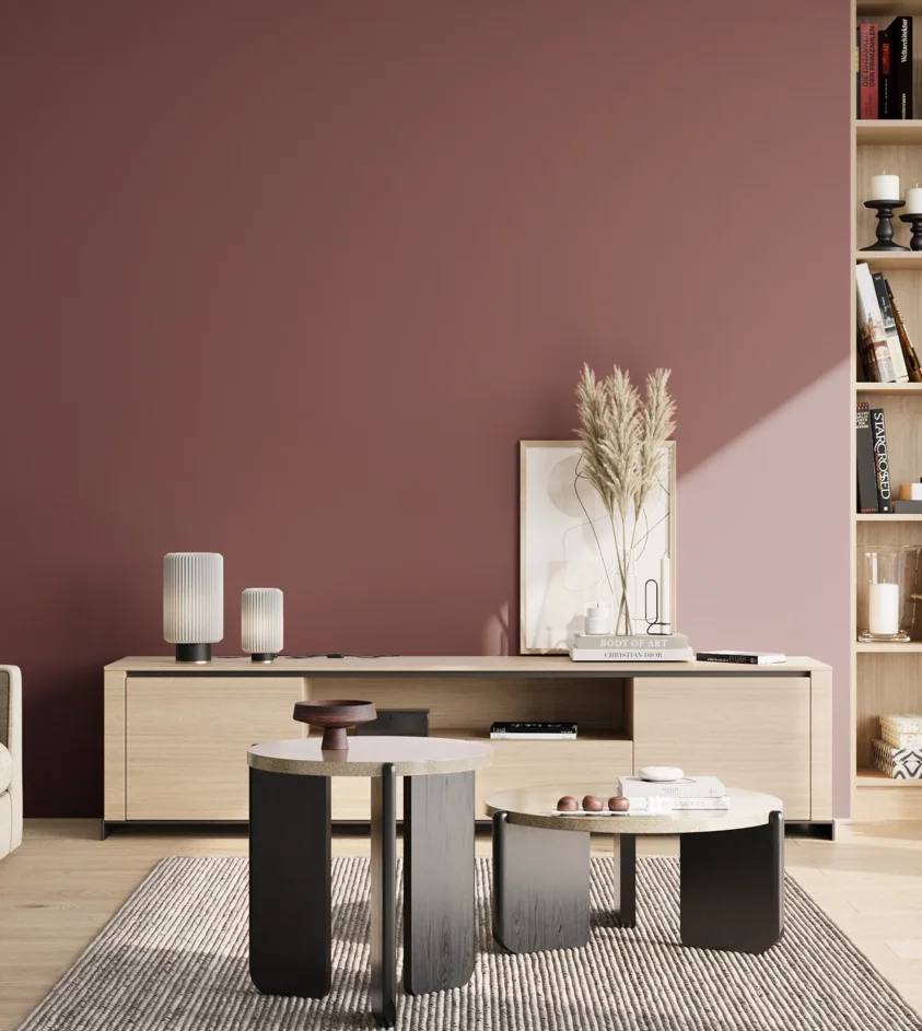 P10_SNIEZKA_salon_02_poludnie_GREY_S5030-R10B
