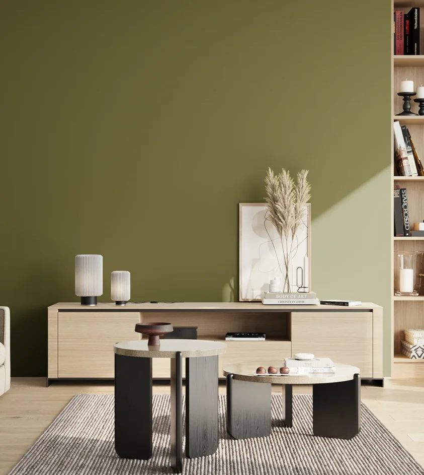 P10_SNIEZKA_salon_02_poludnie_GREY_S5040-G60Y
