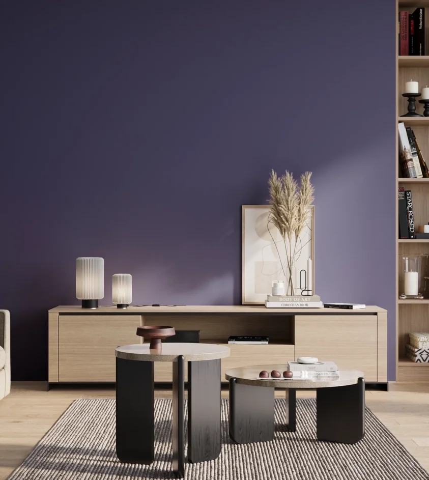 P10_SNIEZKA_salon_01_poranek_GREY_S5040-R70B