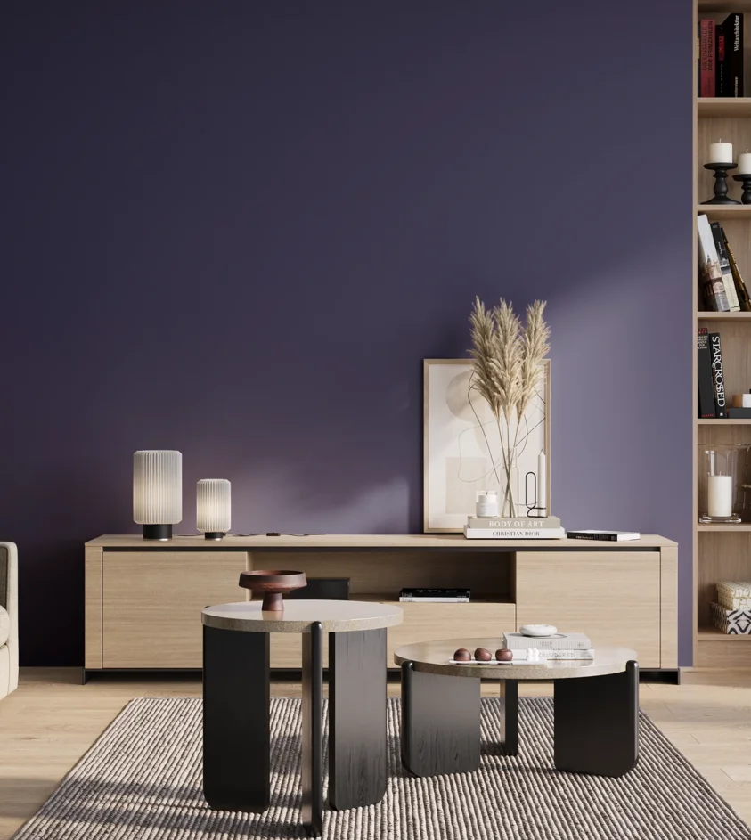 P10_SNIEZKA_salon_01_poranek_GREY_S5540-R70B