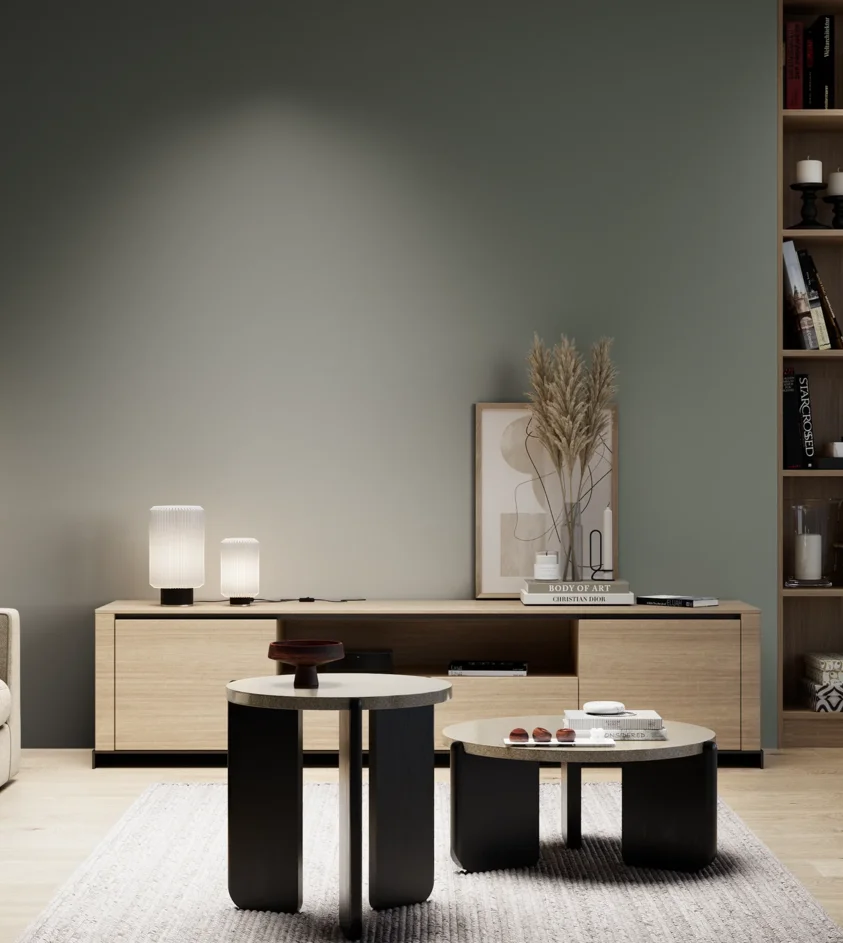 P10_SNIEZKA_salon_05_zimne_GREY_S6005-G20Y