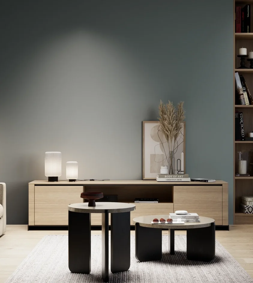 P10_SNIEZKA_salon_05_zimne_GREY_S6010-B30G