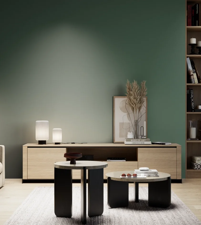 P10_SNIEZKA_salon_05_zimne_GREY_S6020-G