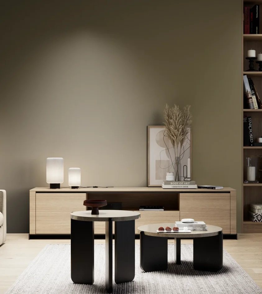 P10_SNIEZKA_salon_05_zimne_GREY_S6020-G90Y