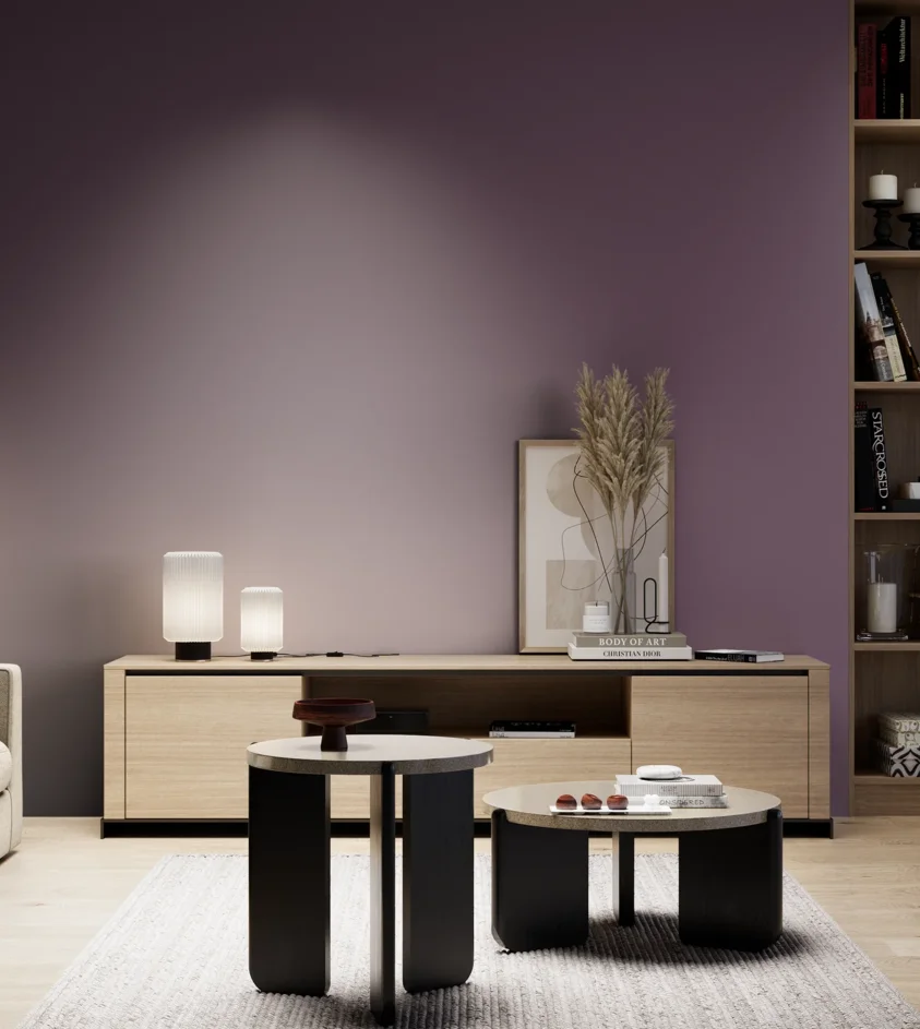 P10_SNIEZKA_salon_05_zimne_GREY_S6020-R40B
