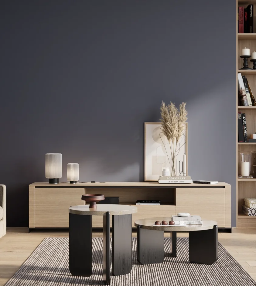 P10_SNIEZKA_salon_01_poranek_GREY_S6020-R80B