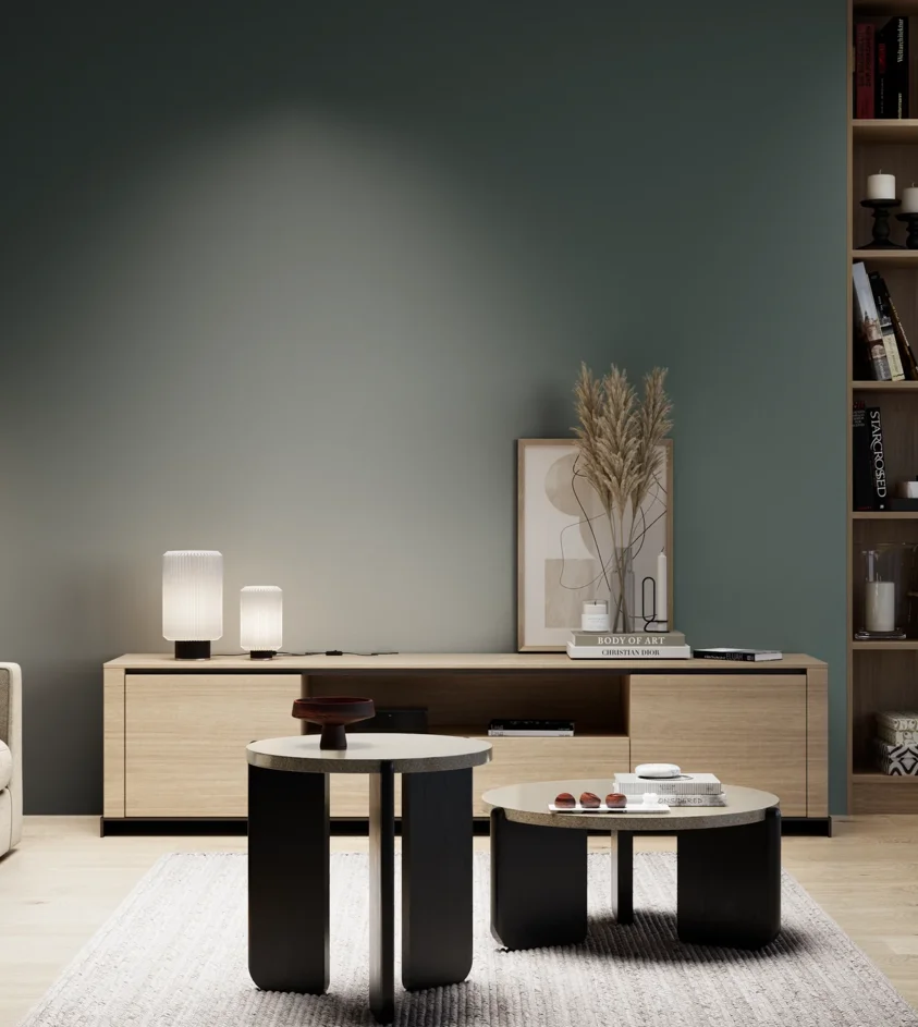 P10_SNIEZKA_salon_05_zimne_GREY_S7010-B70G