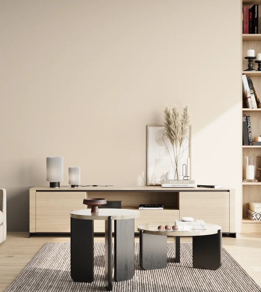 P10_SNIEZKA_salon_02_poludnie_GREY_S0505-Y60R