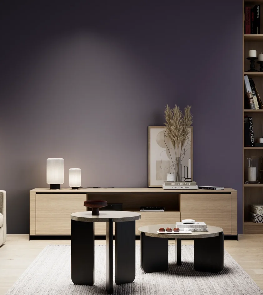 P10_SNIEZKA_salon_05_zimne_GREY_S7020-R60B