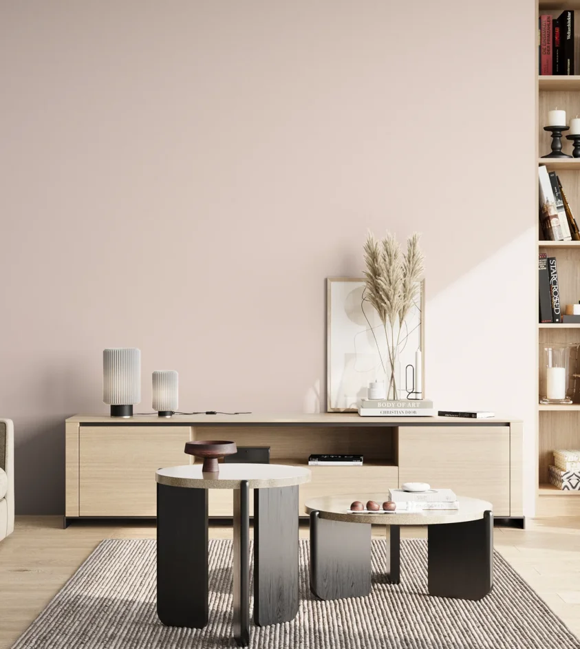 P10_SNIEZKA_salon_02_poludnie_GREY_S0507-R