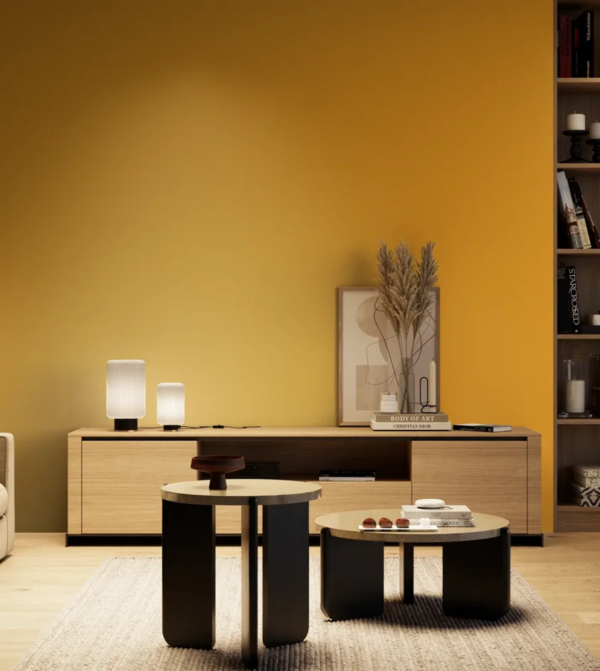P10_SNIEZKA_salon_04_cieple_GREY_RAL1004