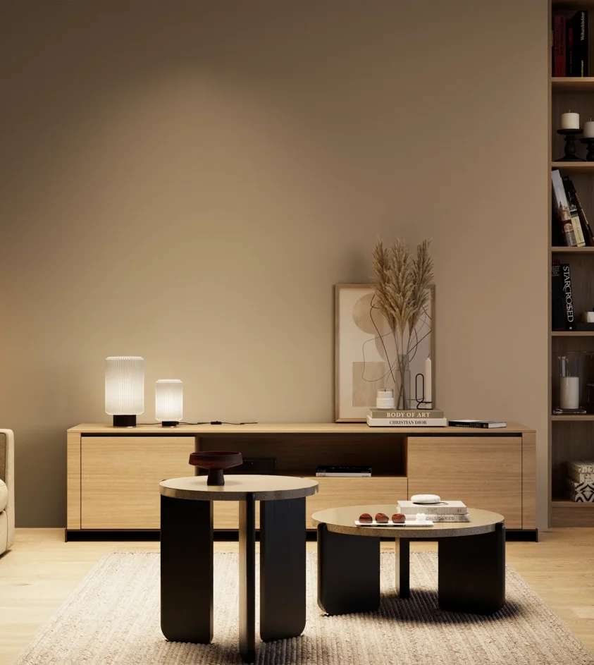 P10_SNIEZKA_salon_04_cieple_GREY_RAL1019