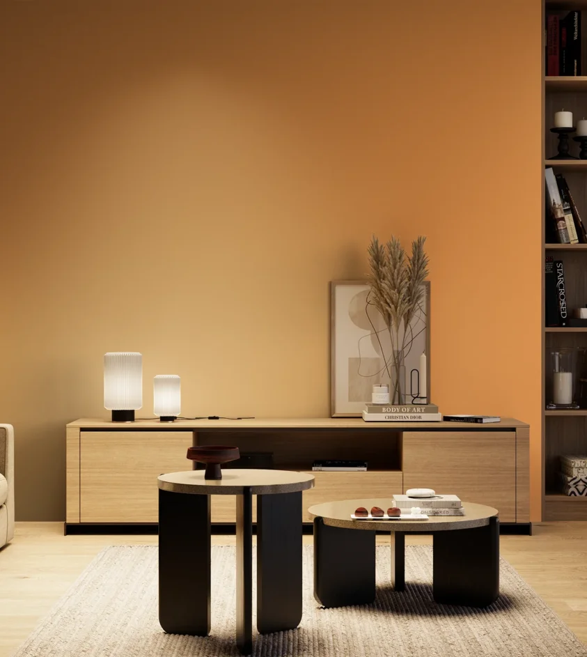 P10_SNIEZKA_salon_04_cieple_GREY_RAL1034