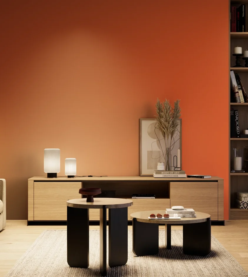 P10_SNIEZKA_salon_04_cieple_GREY_RAL2004
